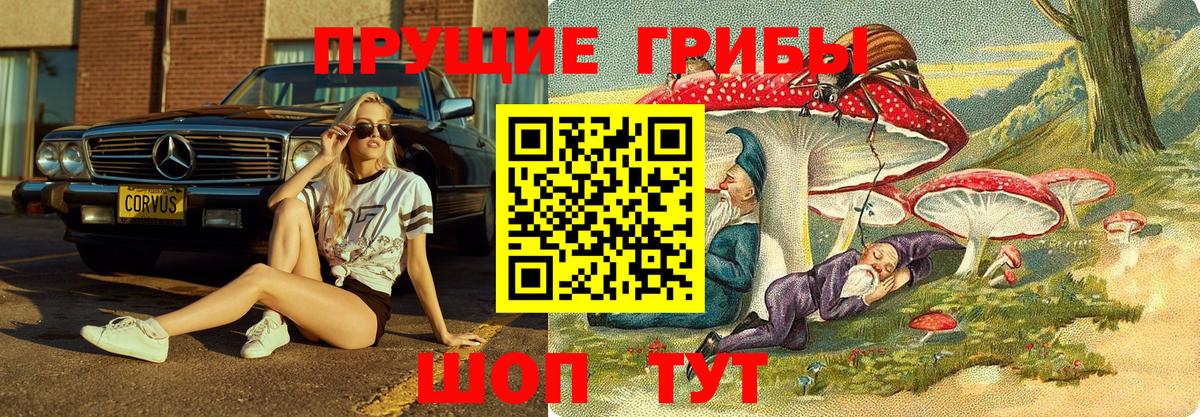 Галлюциногенные грибы GOLDEN TEACHER Новочеркасск